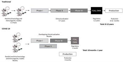 Translational Virology in the Age of Pandemics